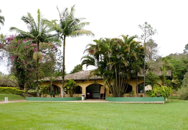 verde1